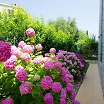Apartman Ecio